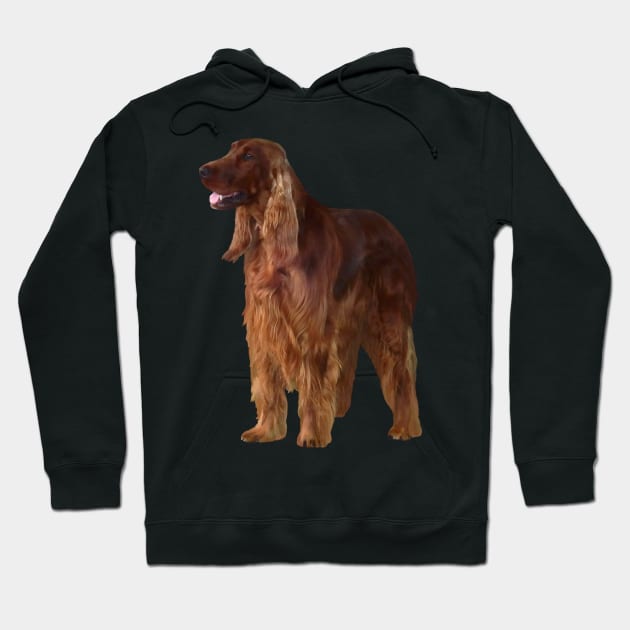 Irish Setter Hoodie by SusanSavad